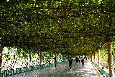 迪士尼公布免费手游《迪士尼像素RPG》 目前仅限日本玩家注册